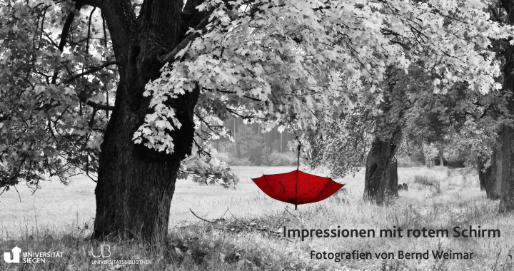Bild zur Ausstellung "Impressionen mit rotem Schirm"