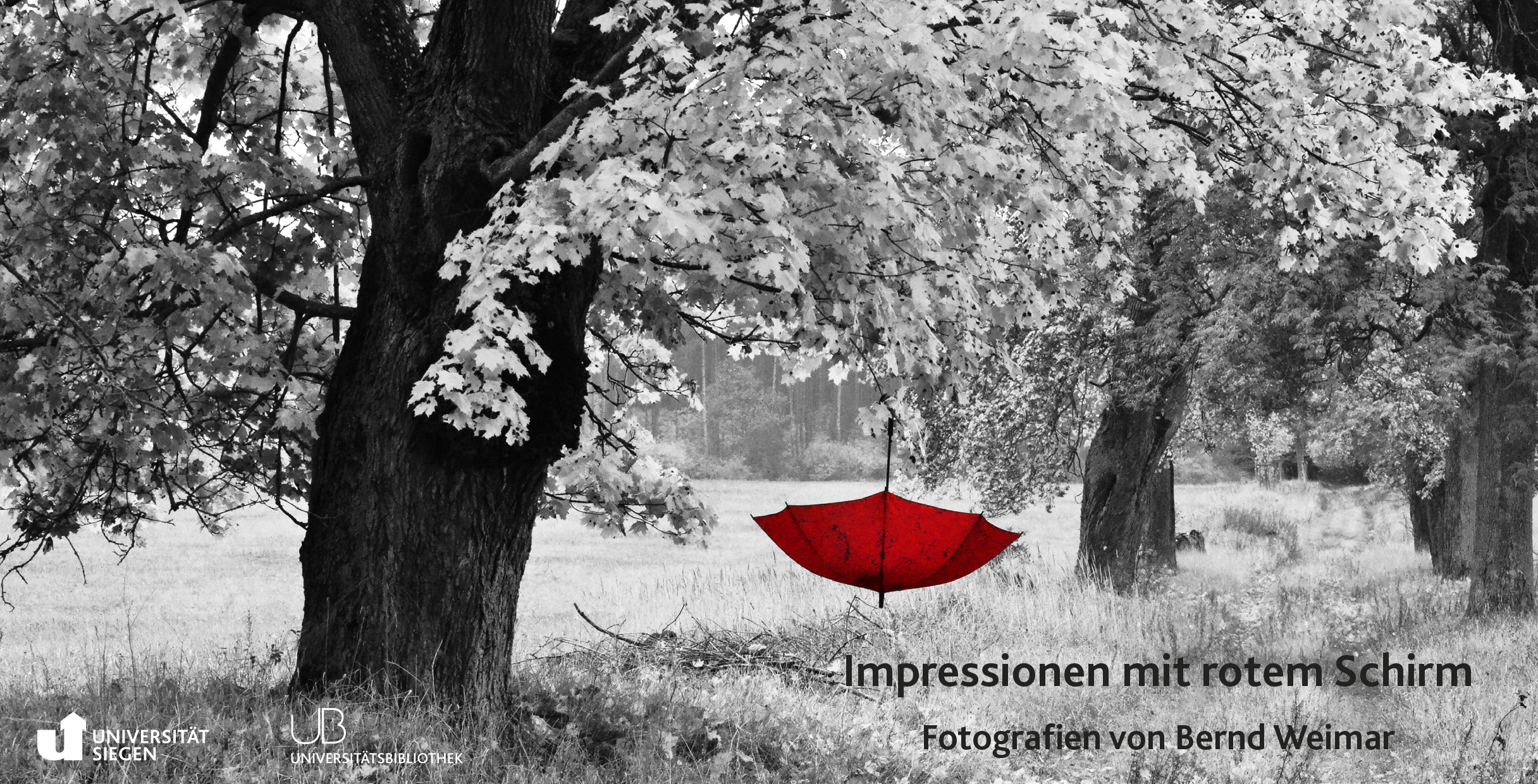 Bild zur Ausstellung "Impressionen mit rotem Schirm"